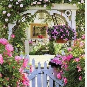 Meet your Posher, Ginny